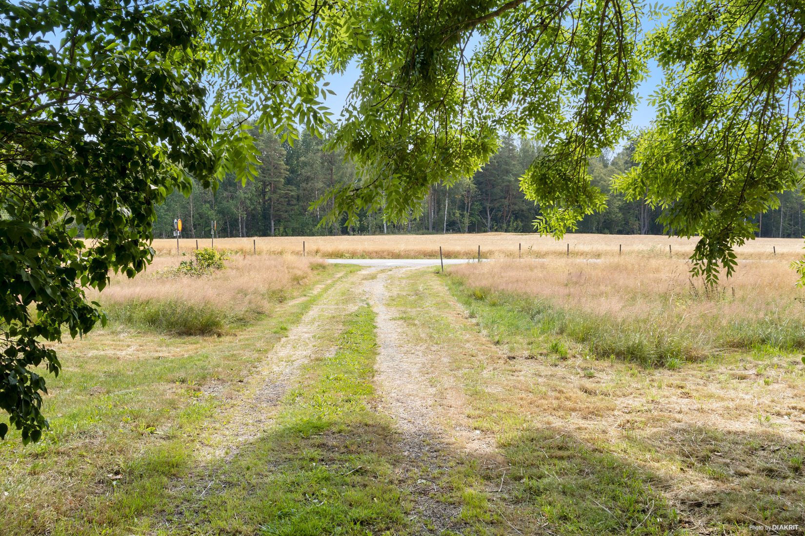 Gård/Skog, Skerrud 101, Vänersborg