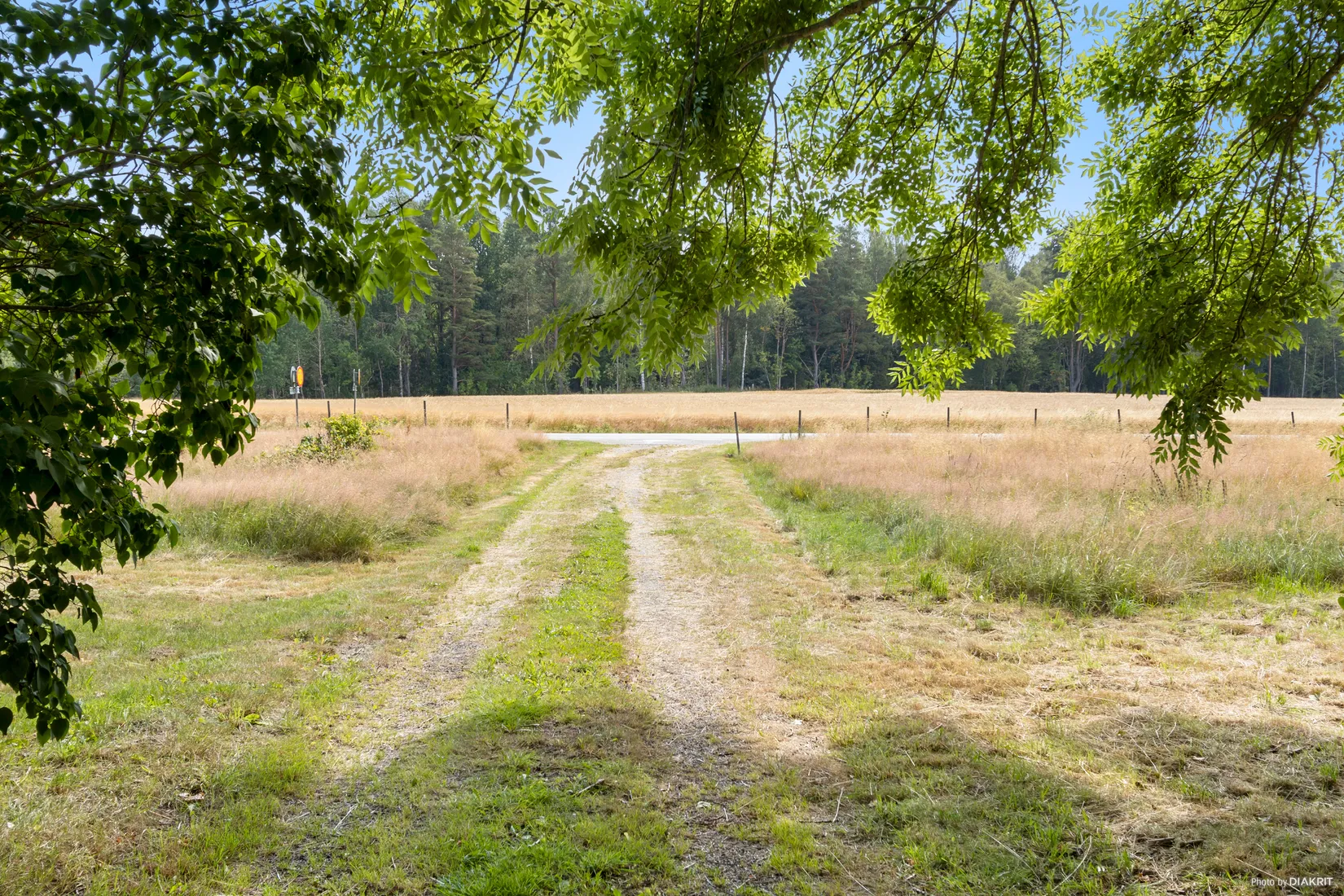 Gård/Skog, Skerrud 101, Vänersborg