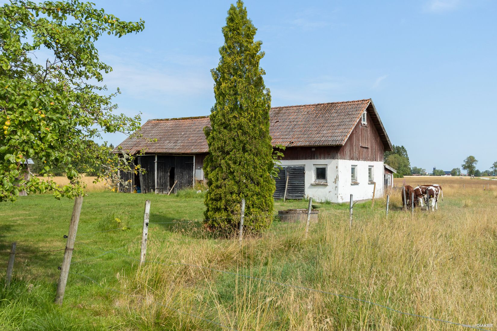 Gård/Skog, Skerrud 101, Vänersborg