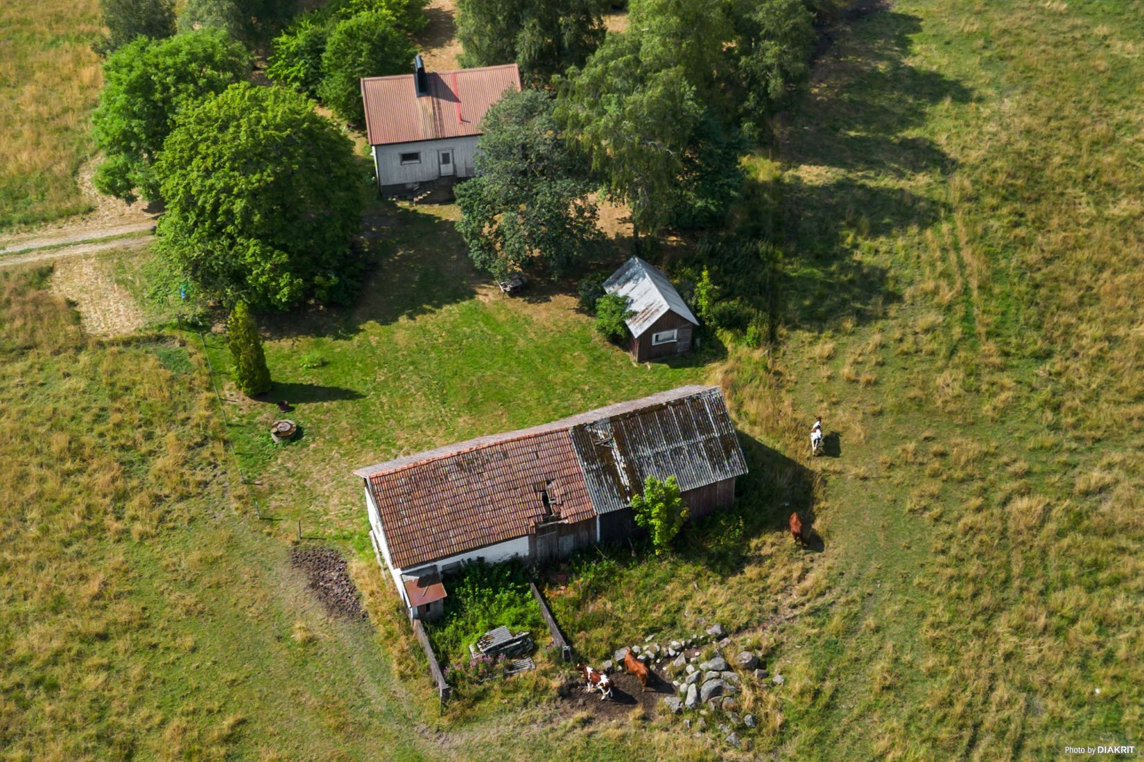 Gård/Skog, Skerrud 101, Vänersborg