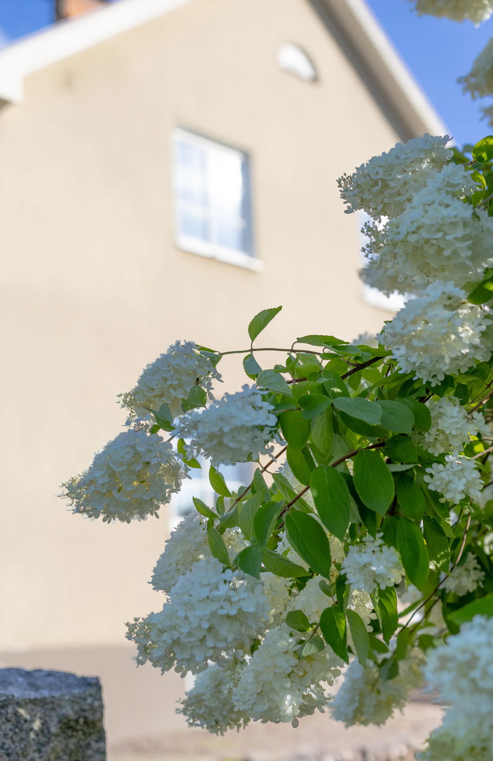 Villa, Ågatan 8, Krylbo/Karlbo, Avesta