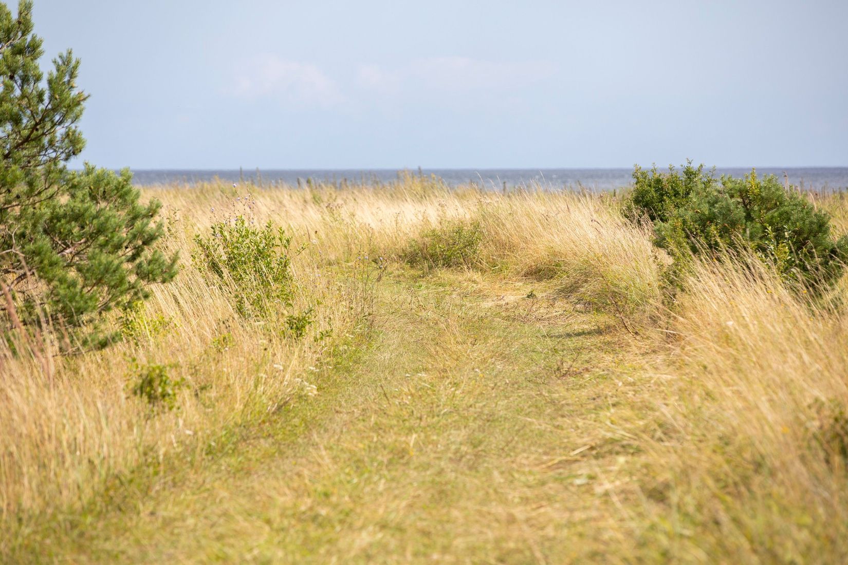 Tomt, Boge Friggars 162D, Boge, Gotland