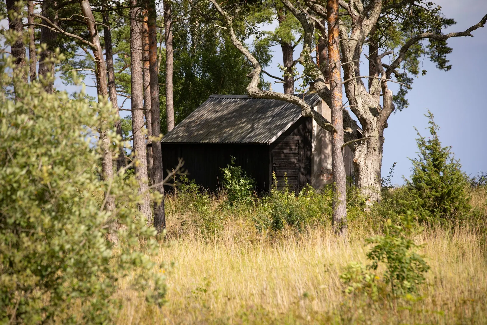 Tomt, Boge Friggars 162D, Boge, Gotland