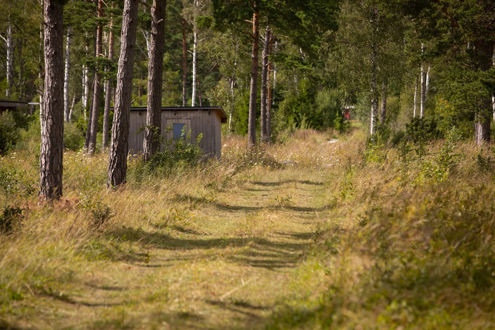 Tomt, Boge Friggars 162D, Boge, Gotland