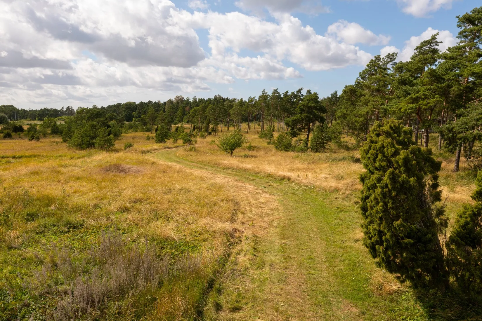 Tomt, Boge Friggars 162D, Boge, Gotland