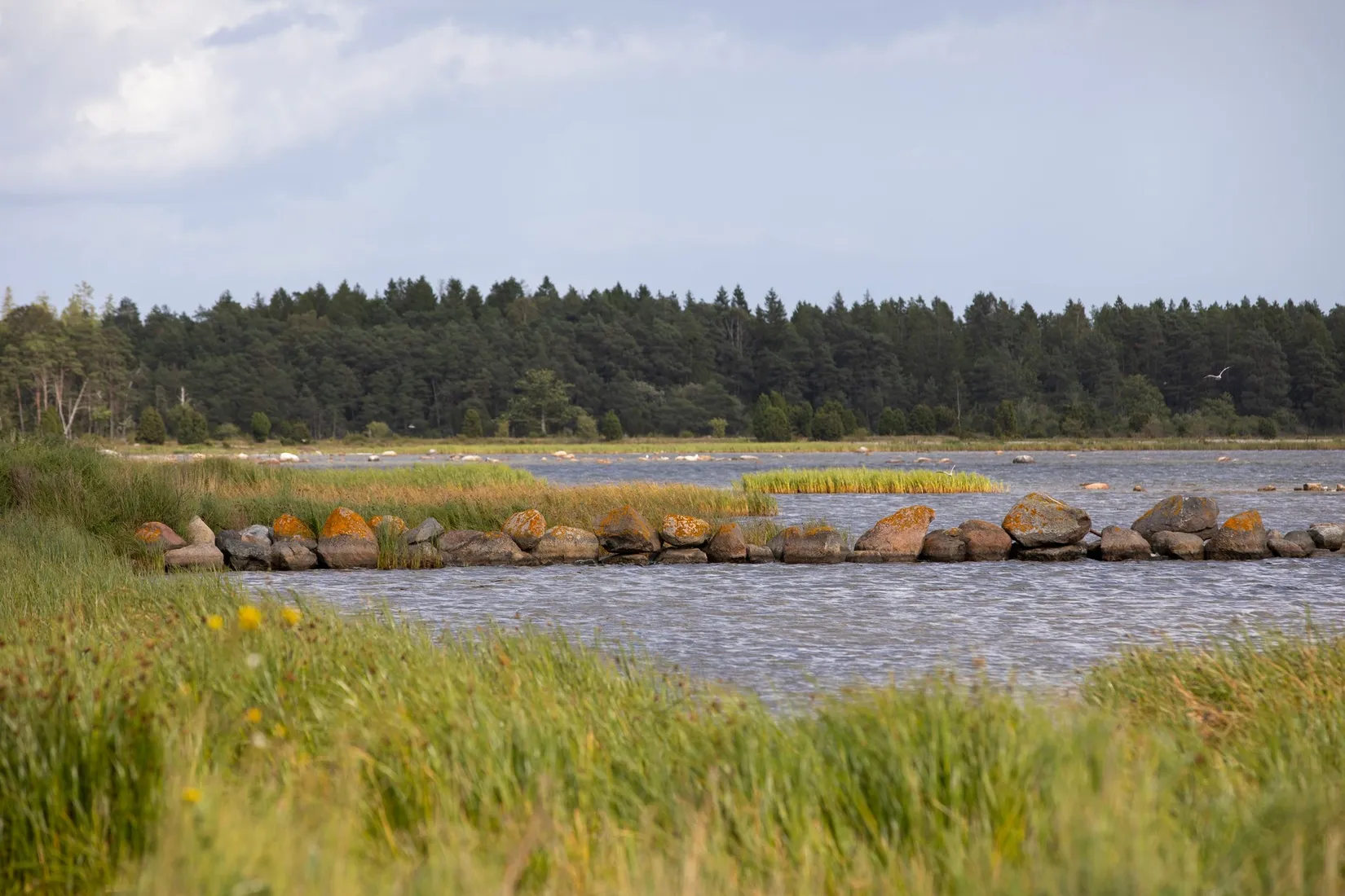 Tomt, Boge Friggars 162B, Boge, Gotland