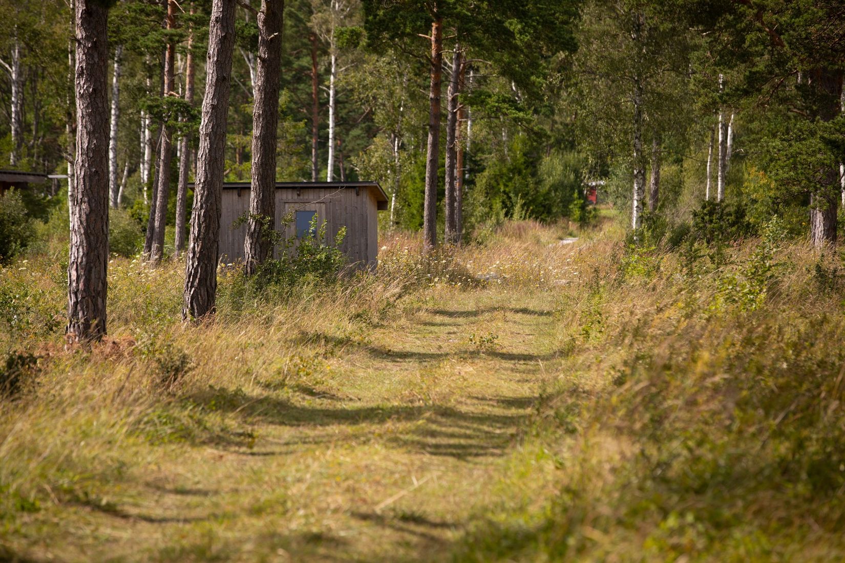 Tomt, Boge Friggars 162B, Boge, Gotland