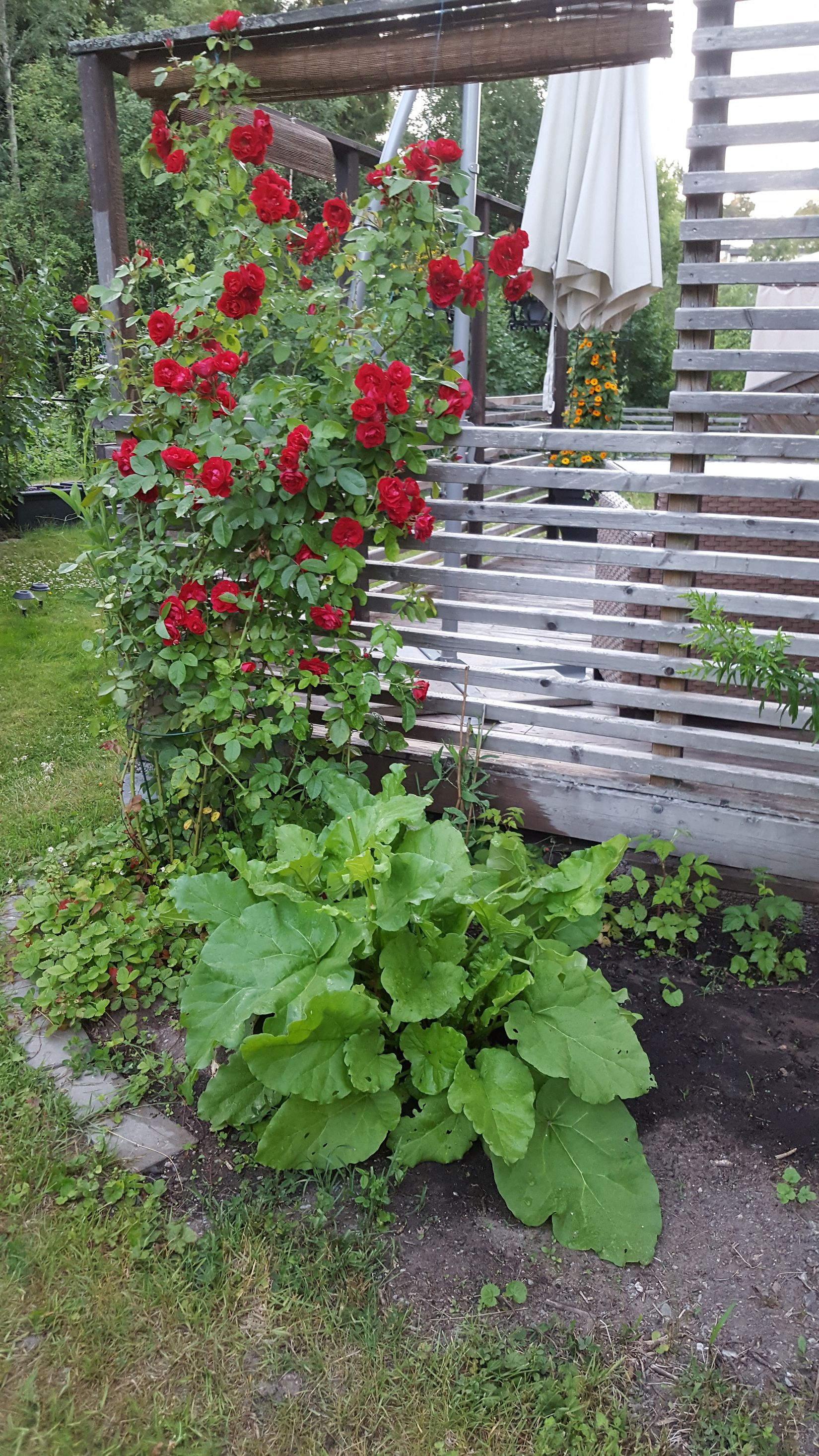 Bostadsrätt, Britas Gränd 31, Fullersta, Huddinge