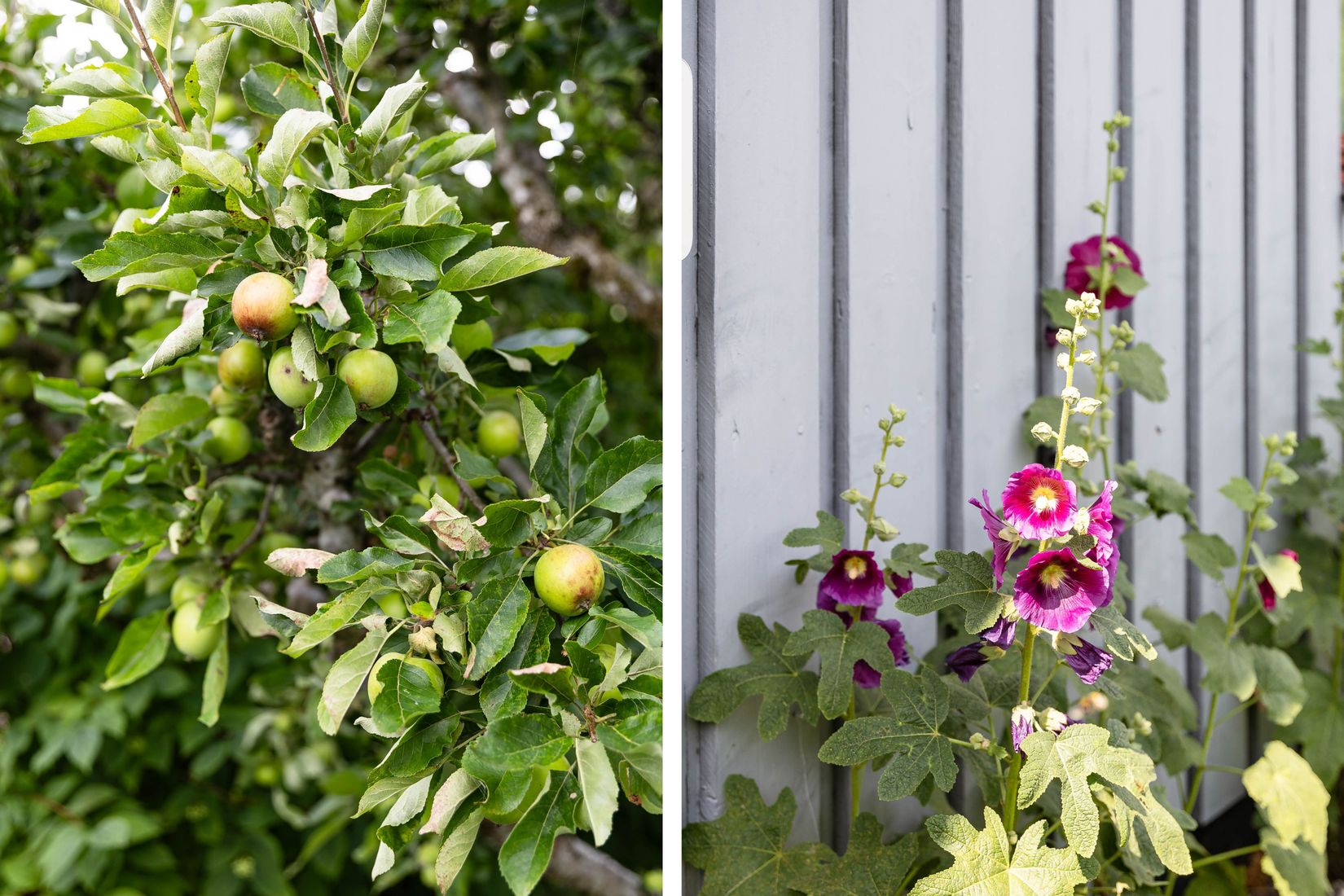 Villa, Matsgårdsvägen 14, Simlångsdalen, Halmstad