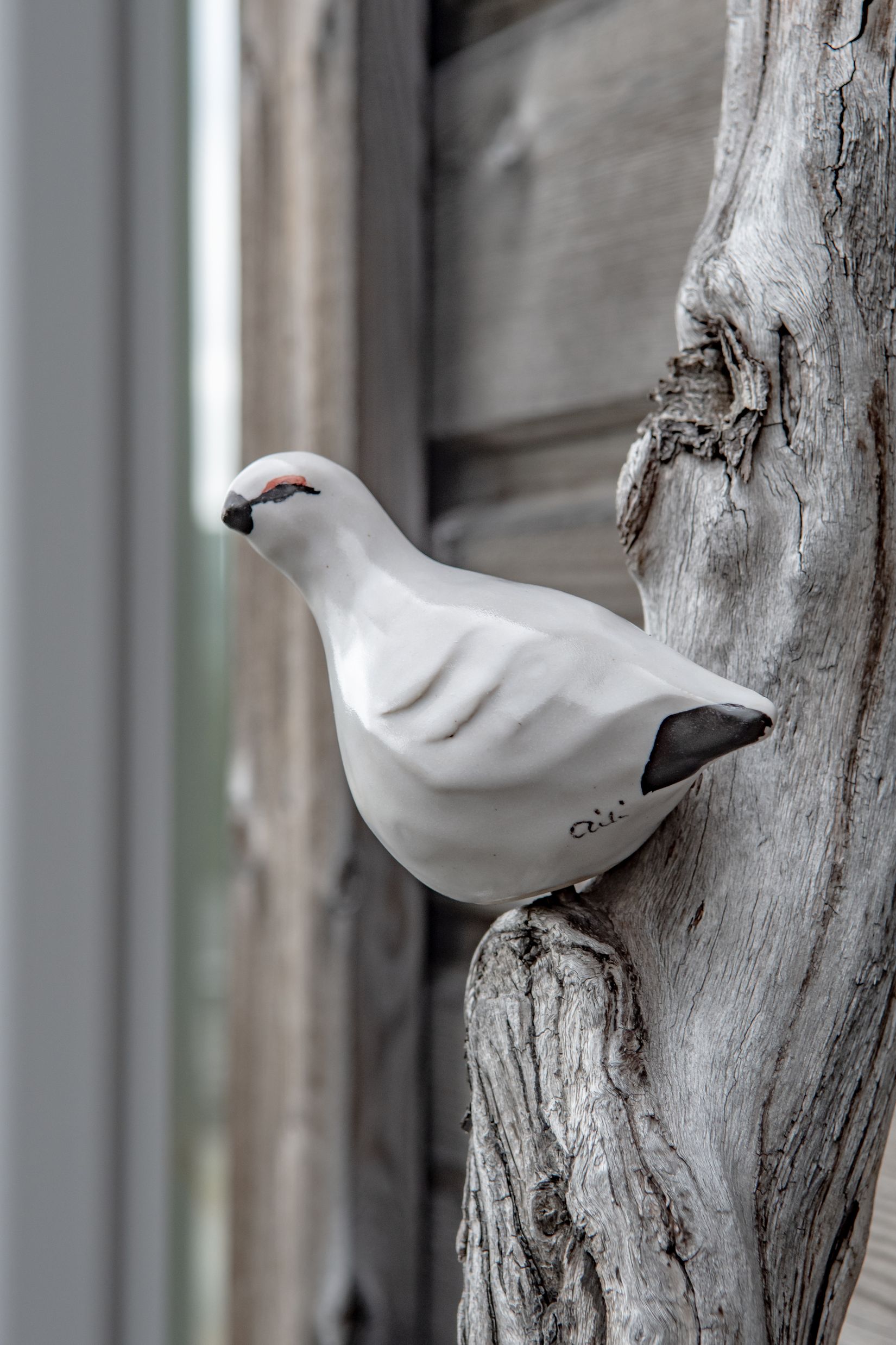 Fritidshus, Kungshagsvägen 8A, Hemavan/Birke, Storuman