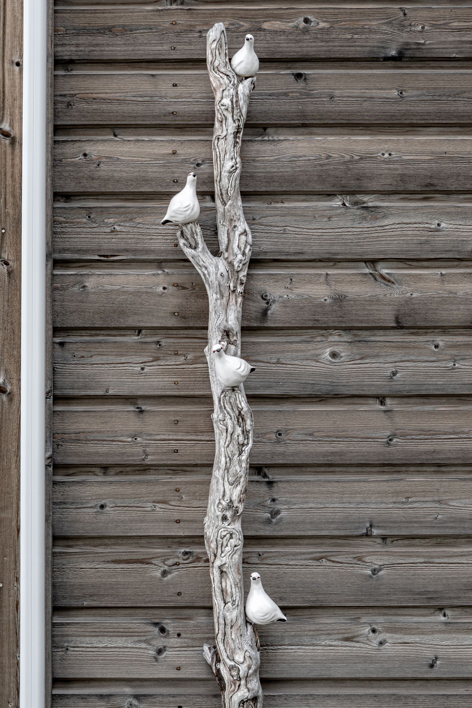 Fritidshus, Kungshagsvägen 8A, Hemavan/Birke, Storuman