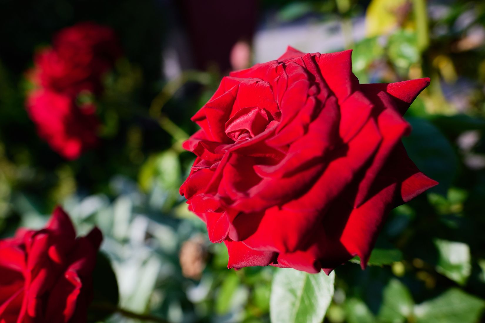 Villa, Radhus, Brinkska vägen 1A, Strängnäs Centralt, Strängnäs