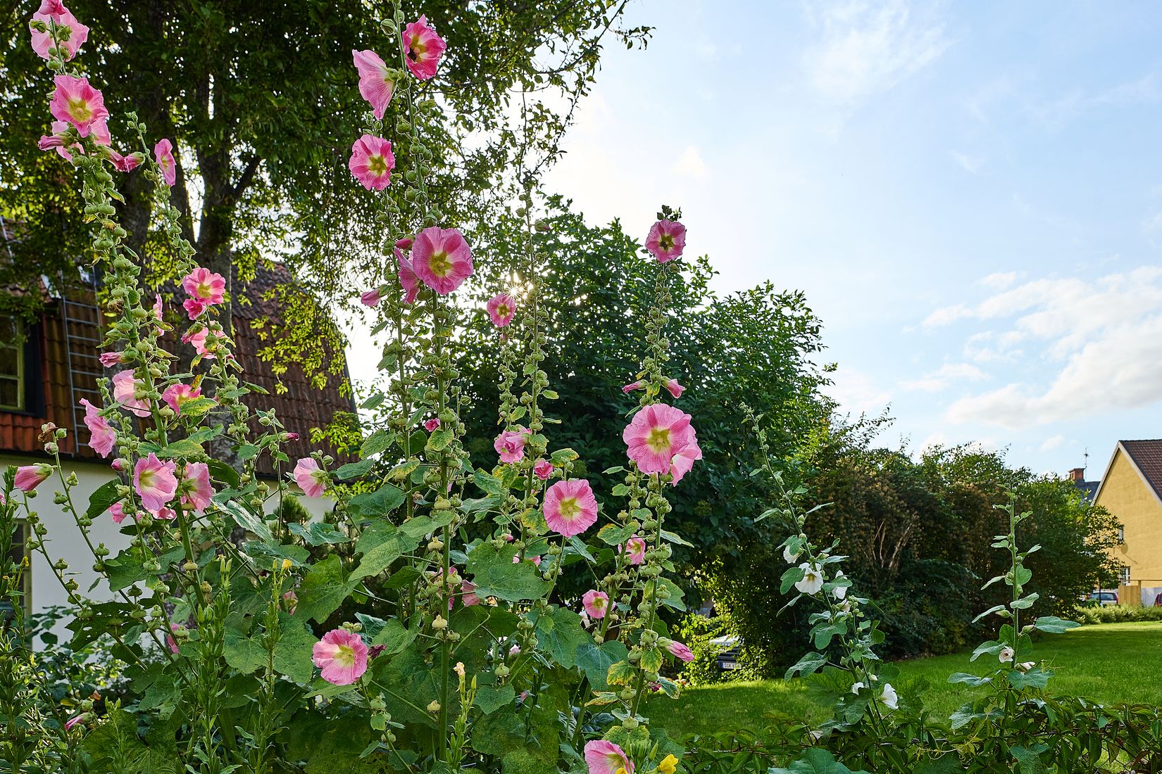 Villa, Radhus, Brinkska vägen 1A, Strängnäs Centralt, Strängnäs