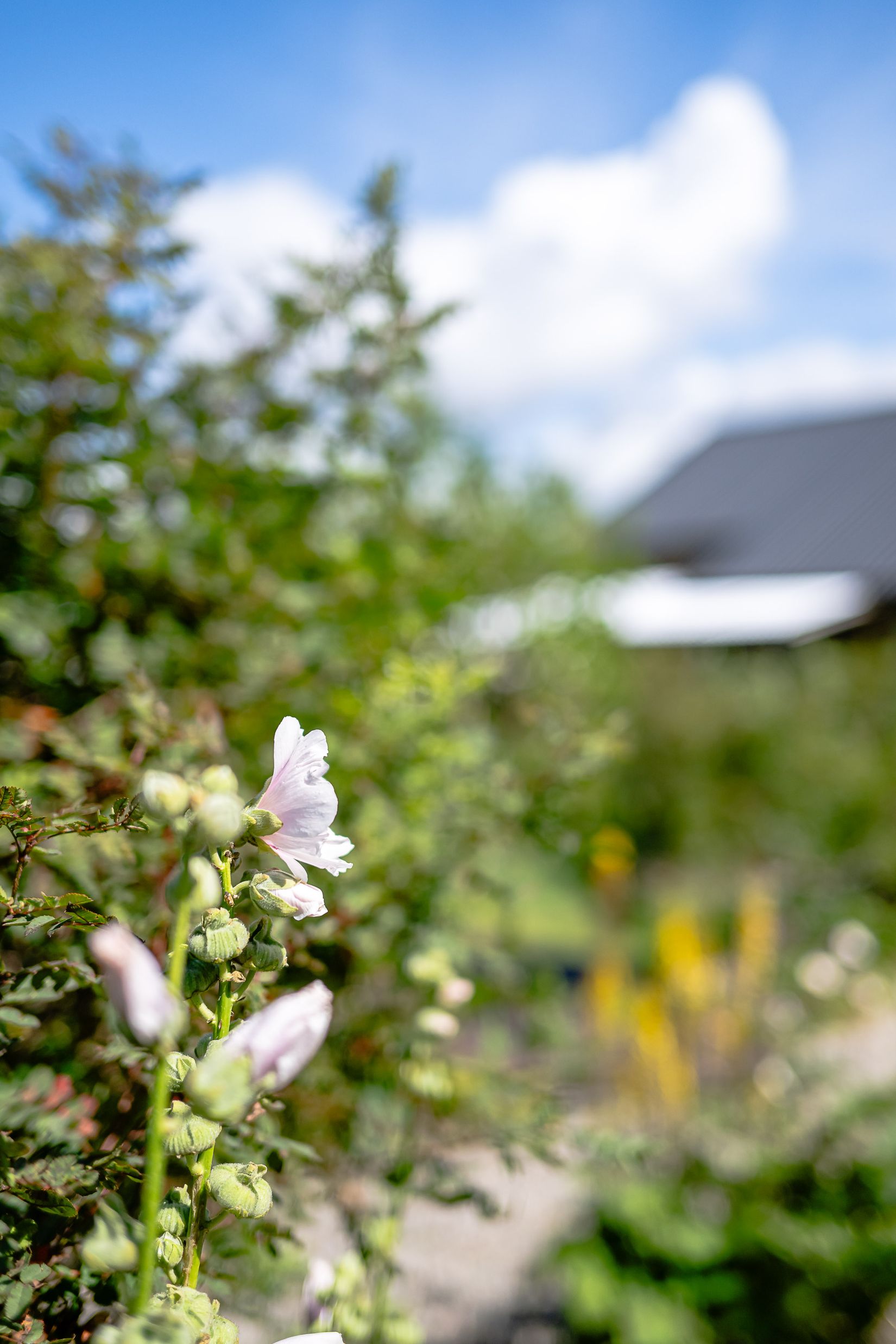 Fritidshus, Ekebydal koloniområde, väg 10, stuga 208, Bergshammar, Nyköping