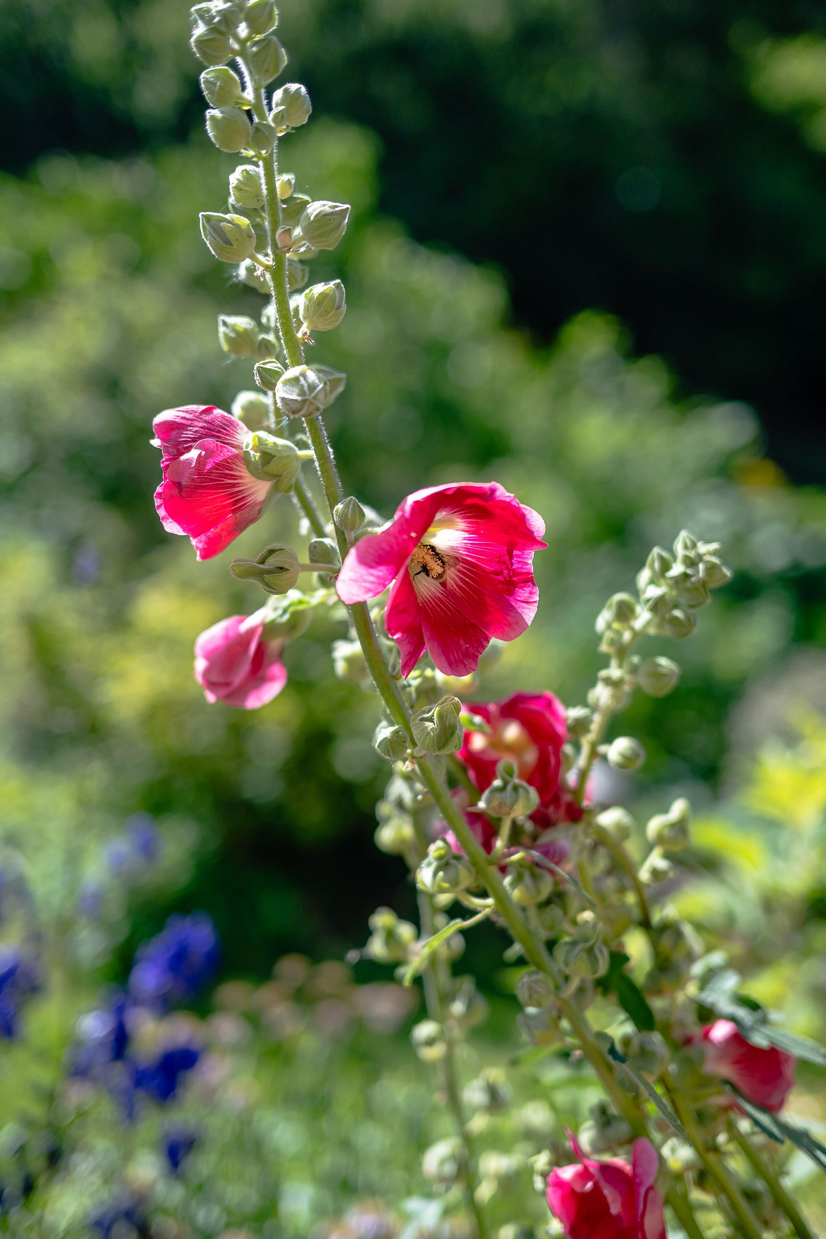 Fritidshus, Ekebydal koloniområde, väg 10, stuga 208, Bergshammar, Nyköping