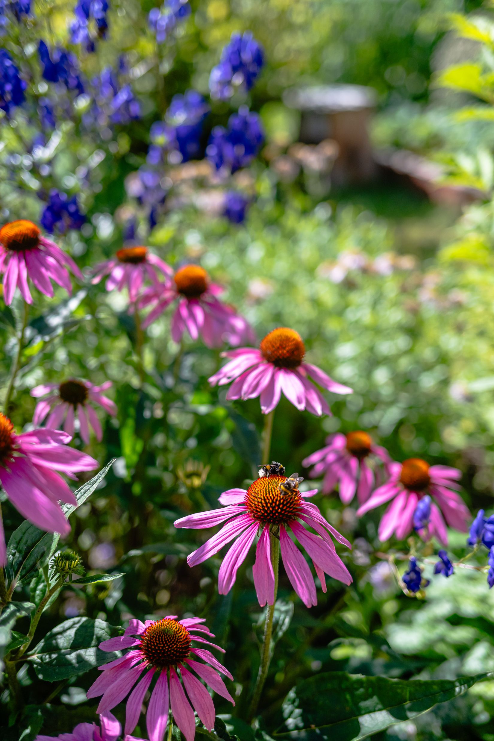 Fritidshus, Ekebydal koloniområde, väg 10, stuga 208, Bergshammar, Nyköping