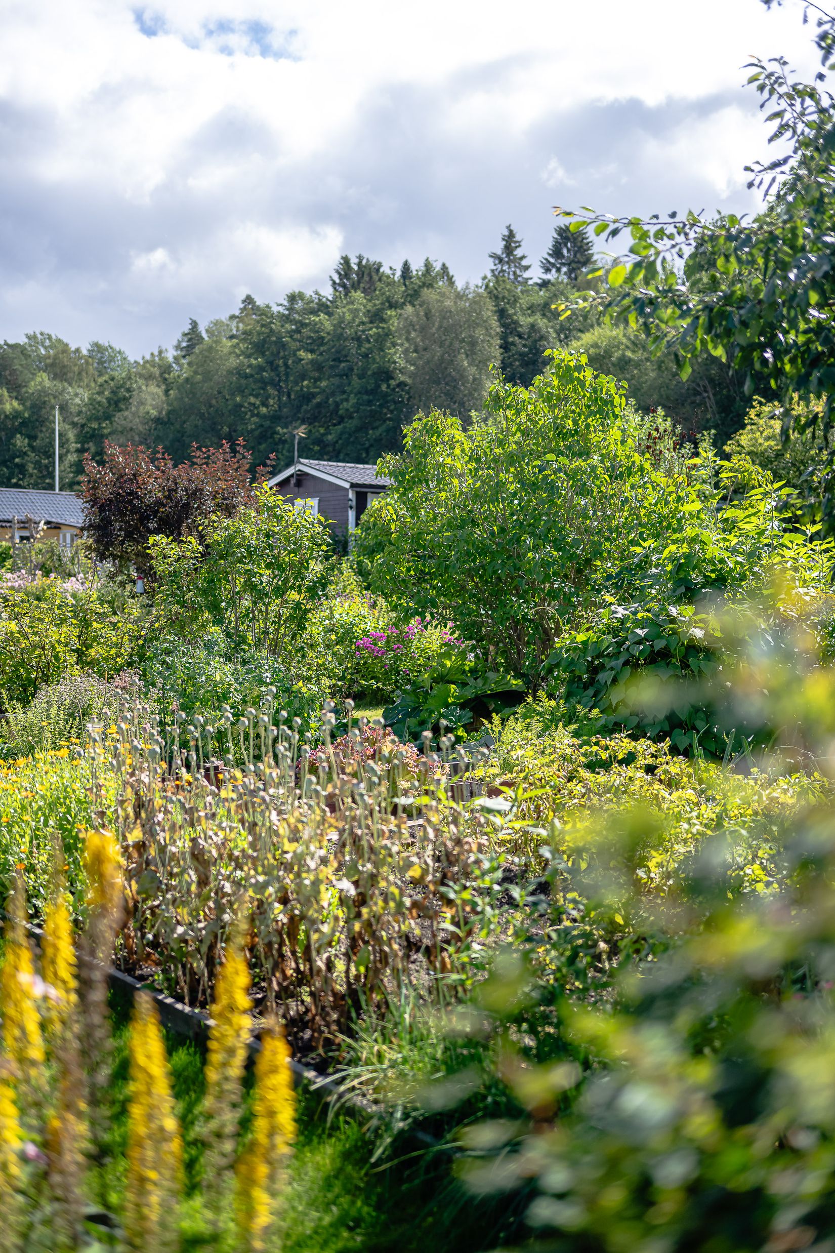 Fritidshus, Ekebydal koloniområde, väg 10, stuga 208, Bergshammar, Nyköping