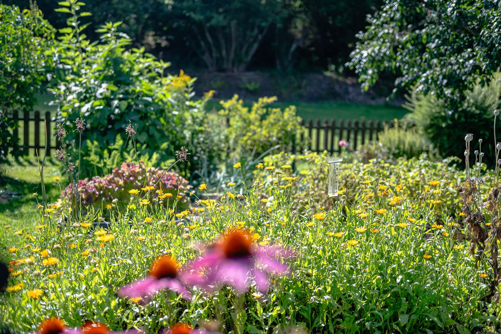 Fritidshus, Ekebydal koloniområde, väg 10, stuga 208, Bergshammar, Nyköping