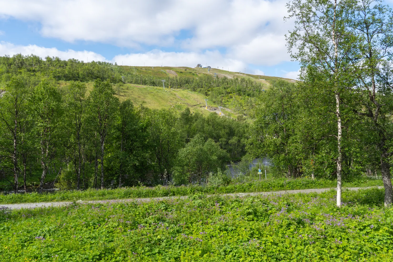 Fritidshus, Hamrafjällsvägen 23, Härjedalen