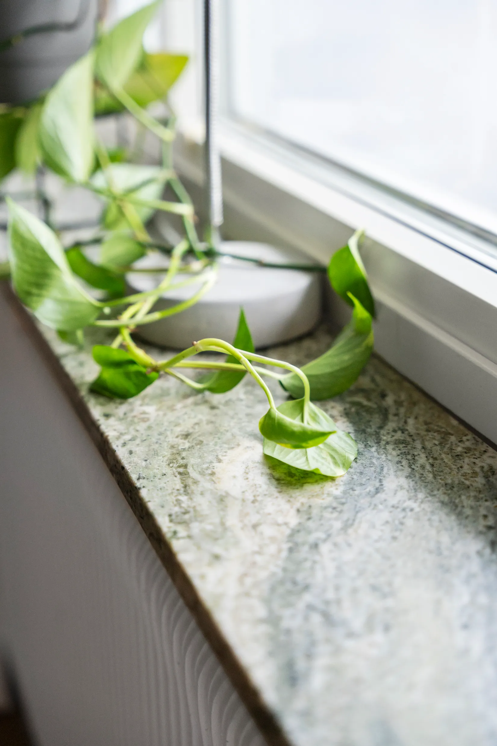 Bostadsrätt, Bangatan 16, Mariero, Vänersborg