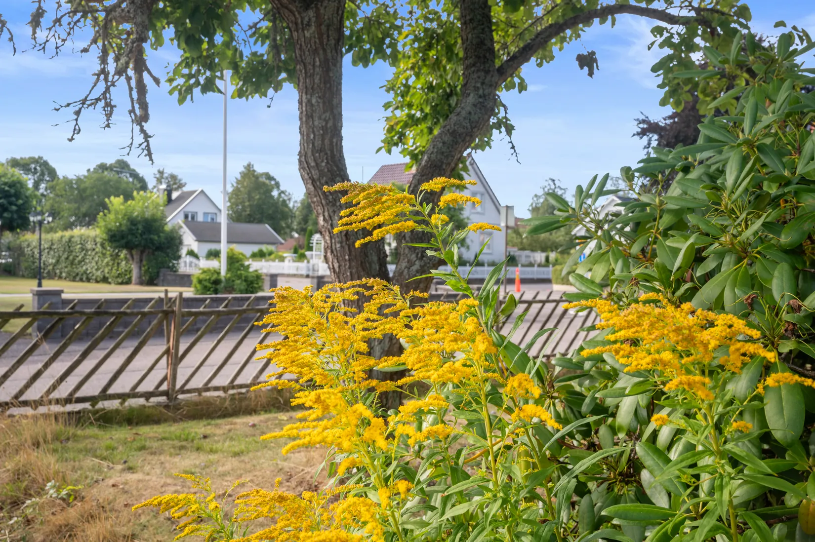 Villa, Smedjegatan 23, Vara