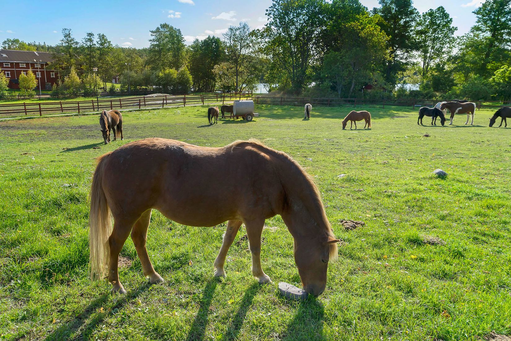 Bostadsrätt, Norrkärrsvägen 20, Gustavsvik, Nacka