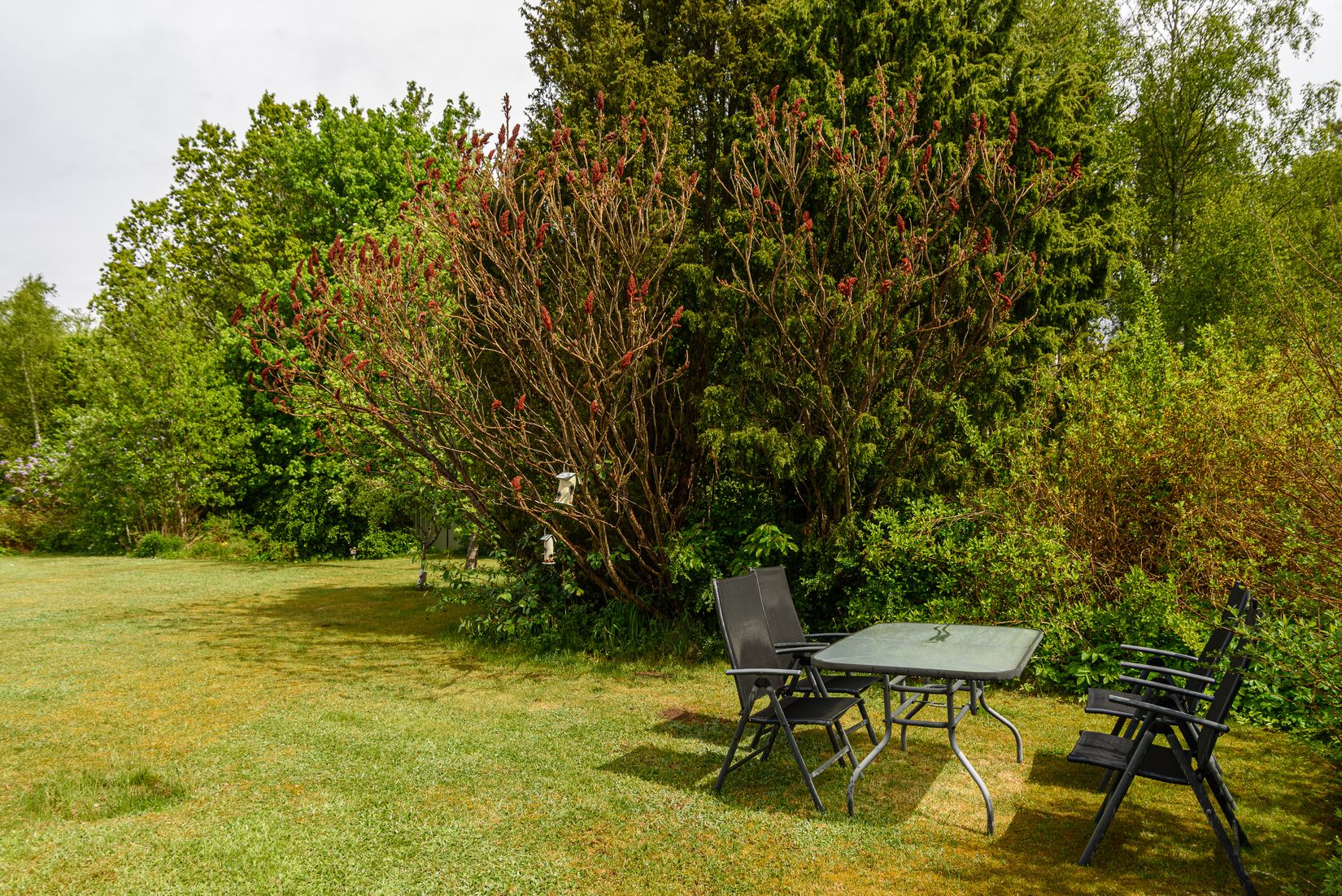 Villa, Kyrkogatan 46, Tingsryd