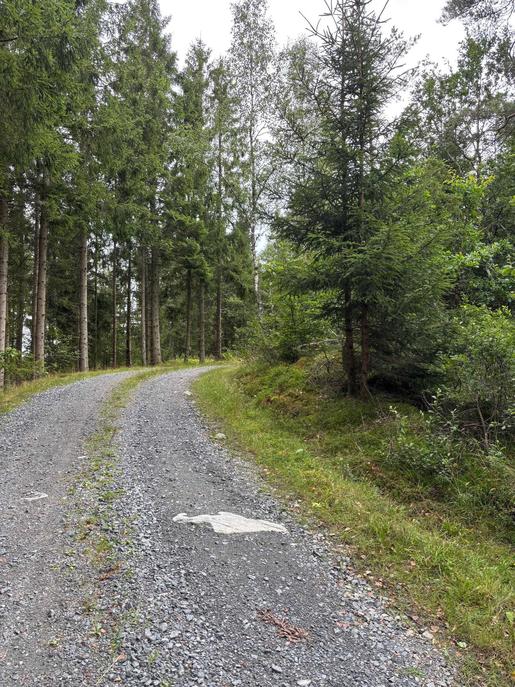 Tomt, Hjorttorp 3:22, Hajom, Mark