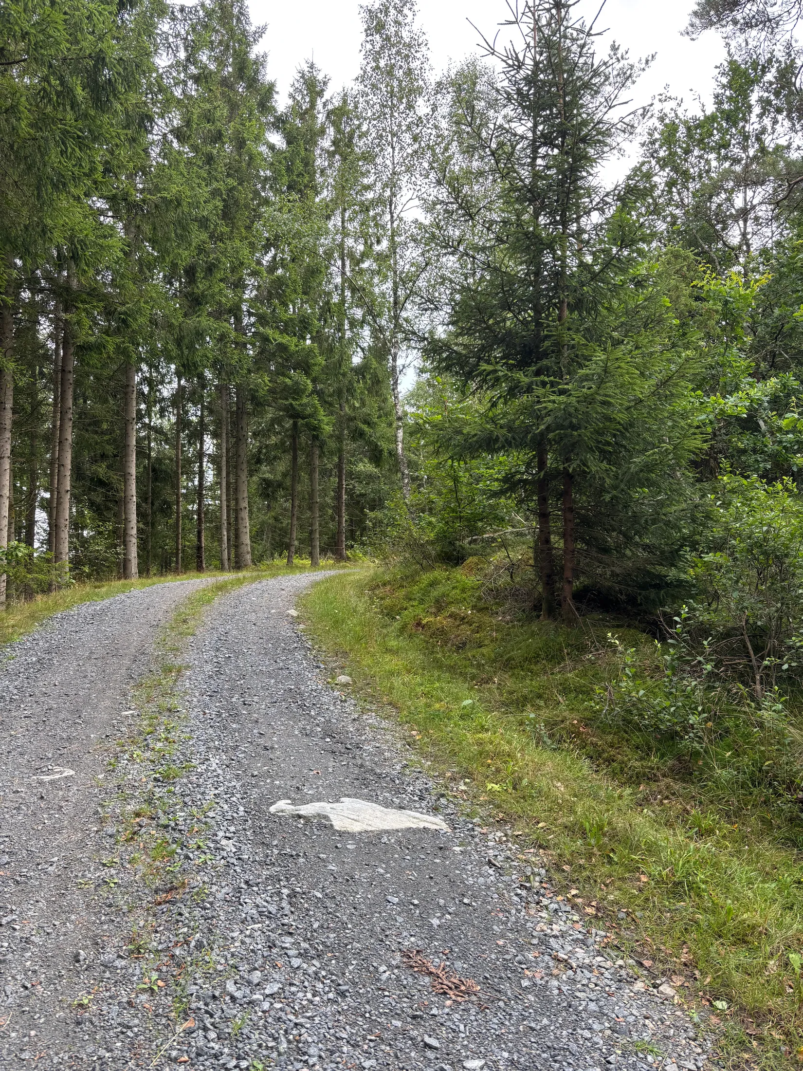 Tomt, Hjorttorp 3:22, Hajom, Mark
