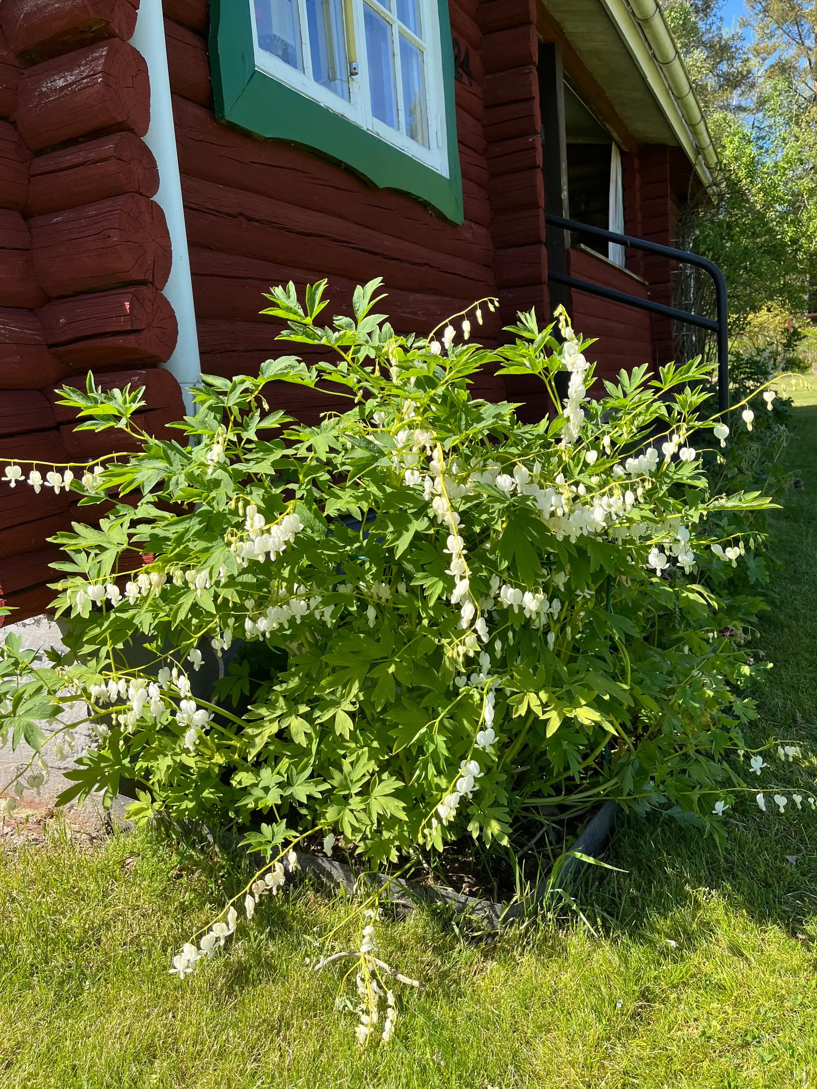 Fritidshus, Salstersvik 24, Salstersvik, Motala