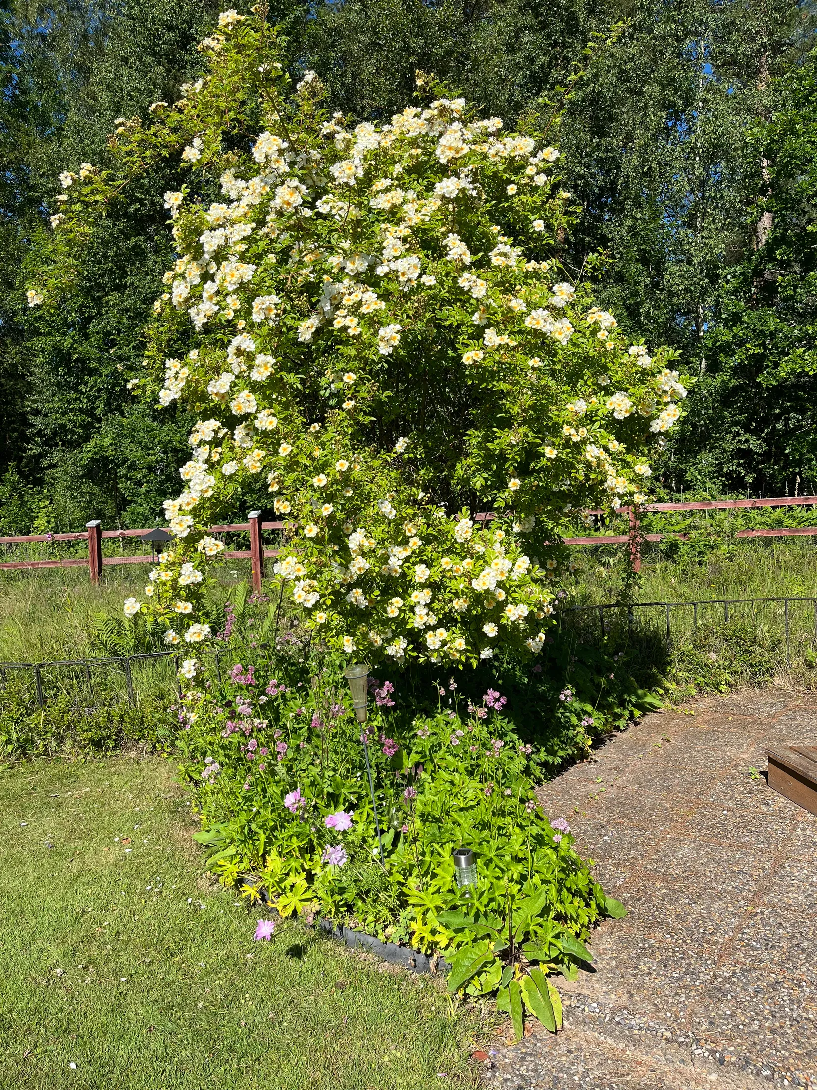 Fritidshus, Salstersvik 24, Salstersvik, Motala