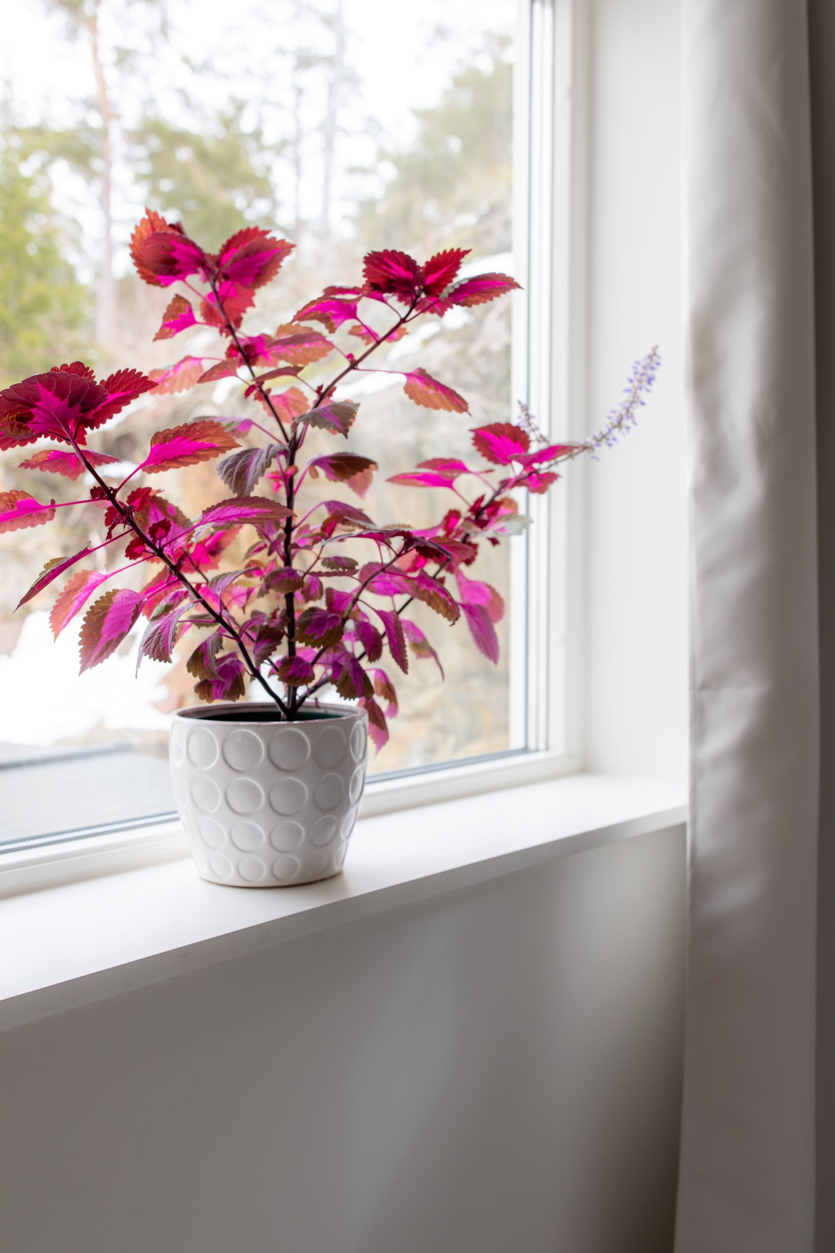 Villa, Hagabergsvägen 16, Hagaberg, Trosa