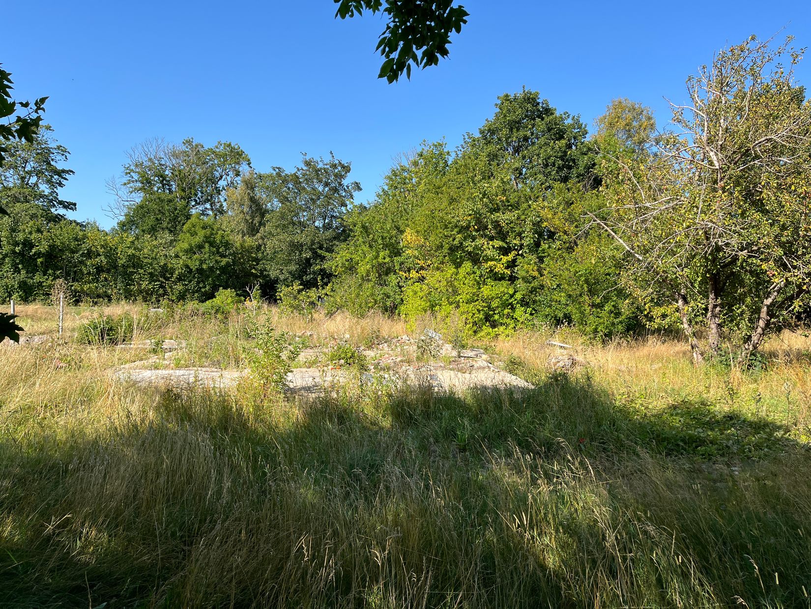 Tomt, Äsperödsvägen 58-3, Äsperöd, Sjöbo