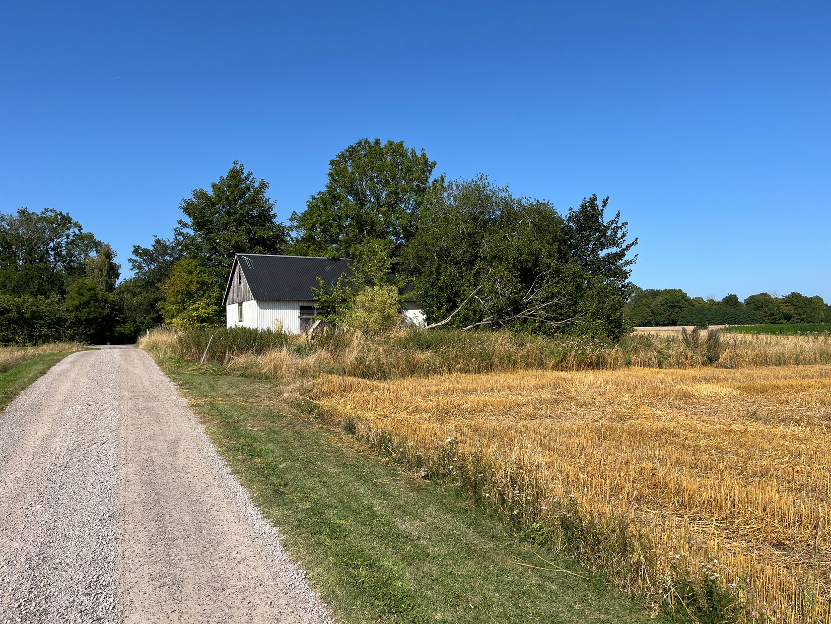 Tomt, Äsperödsvägen 58-3, Äsperöd, Sjöbo