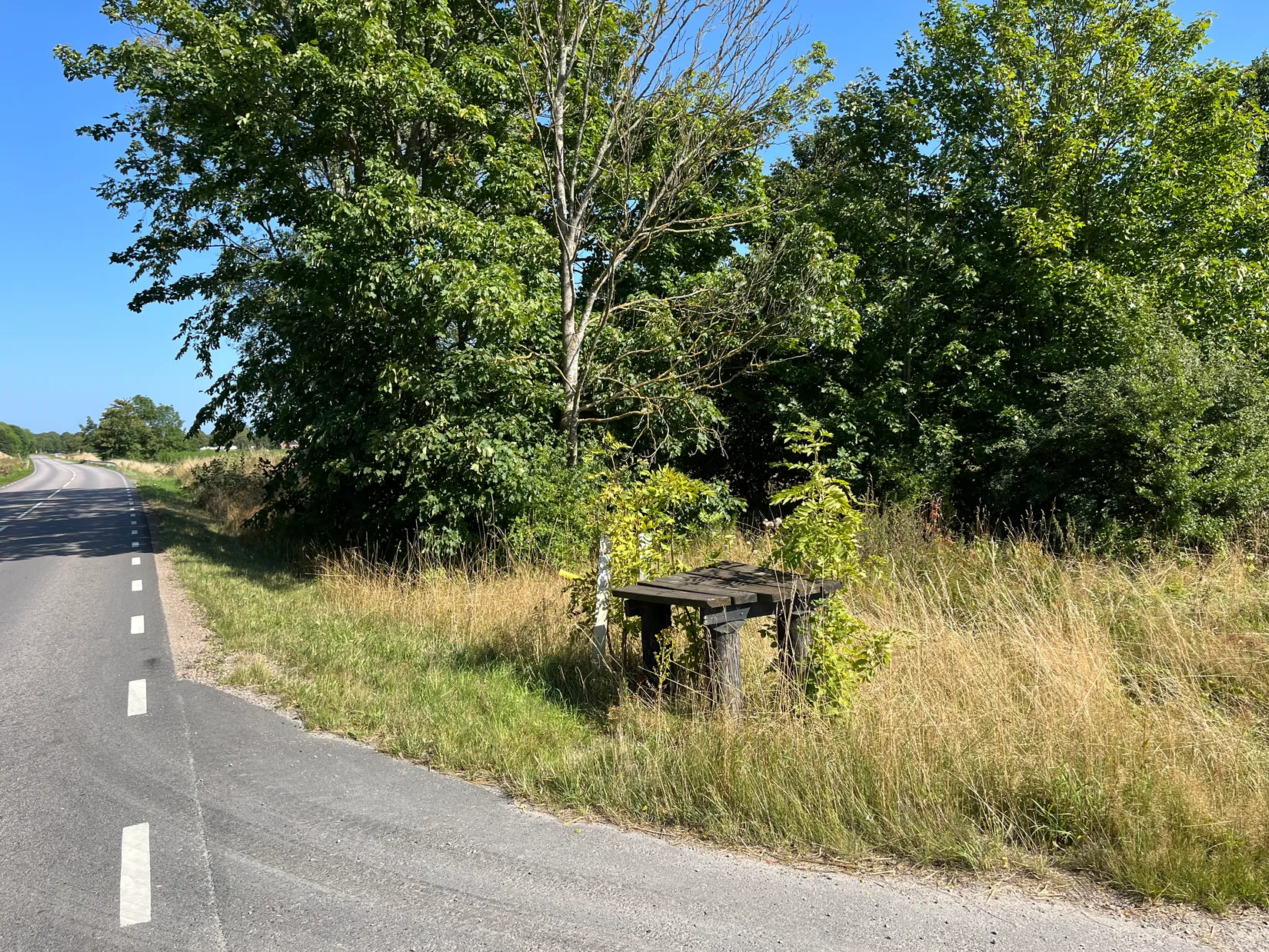Tomt, Äsperödsvägen 58-3, Äsperöd, Sjöbo
