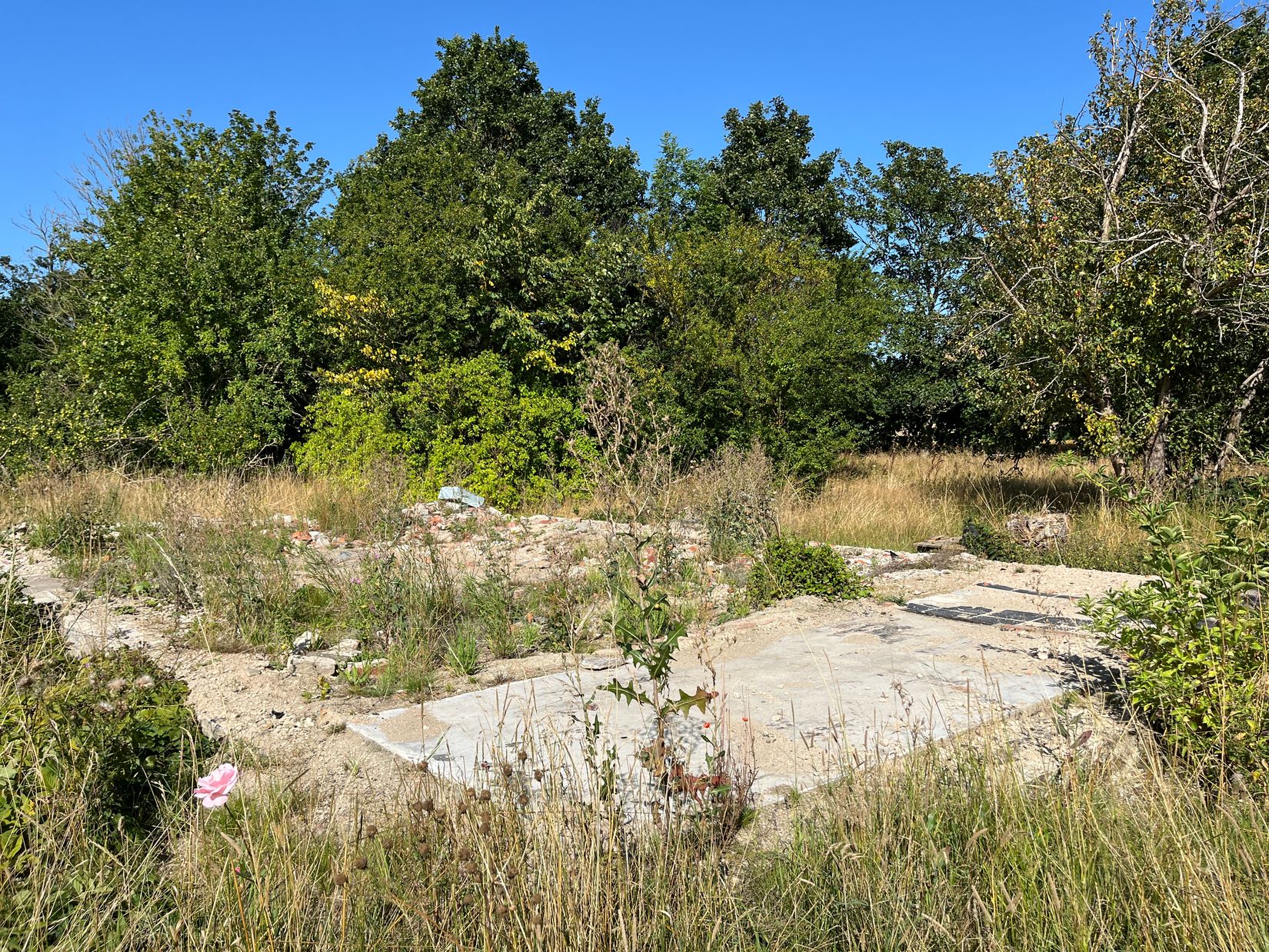 Tomt, Äsperödsvägen 58-3, Äsperöd, Sjöbo