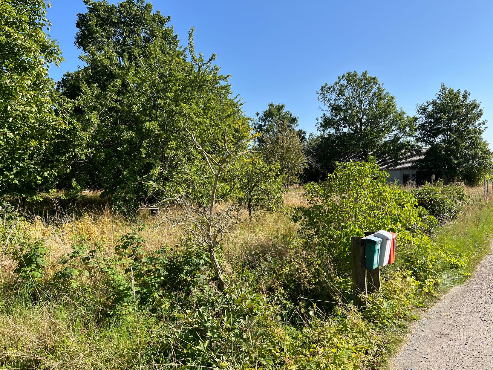 Tomt, Äsperödsvägen 58-3, Äsperöd, Sjöbo