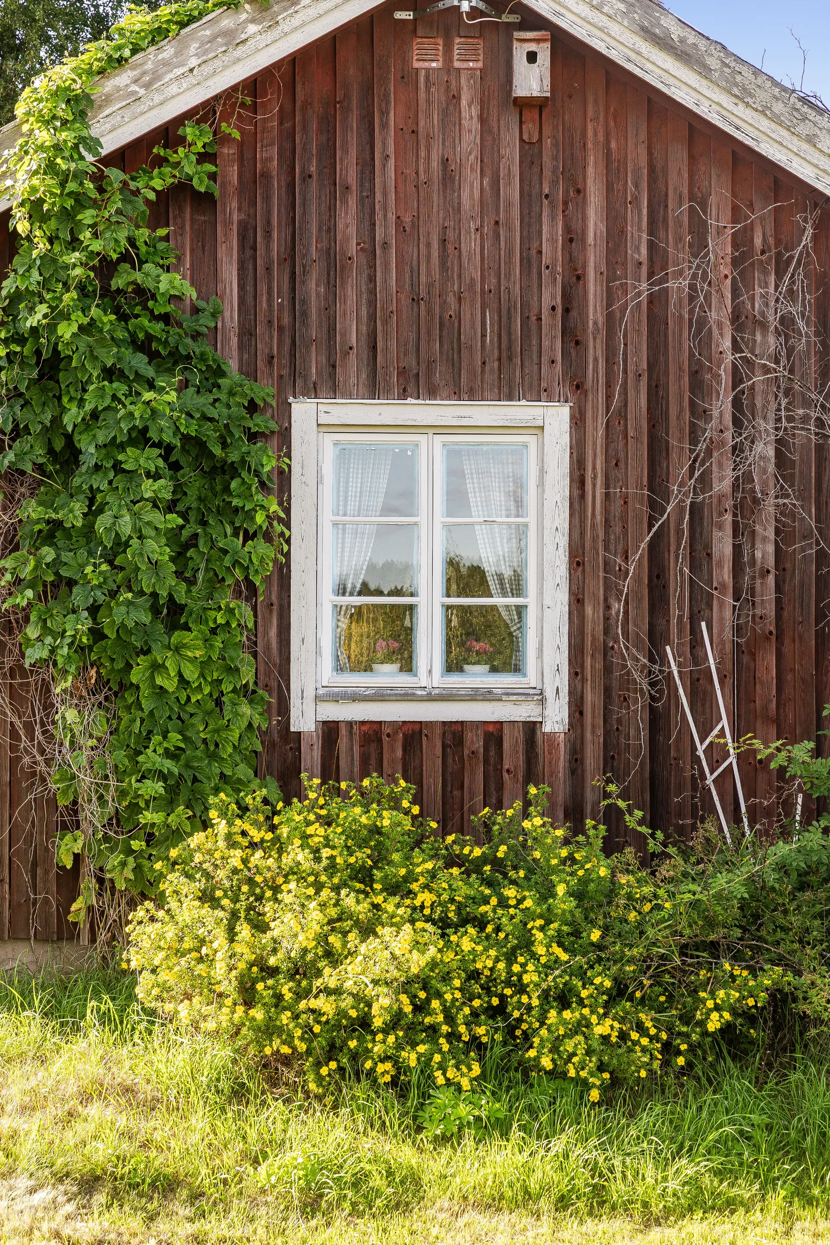 Gård/Skog, Öje 440, Stigsjö/Brunne, Härnösand