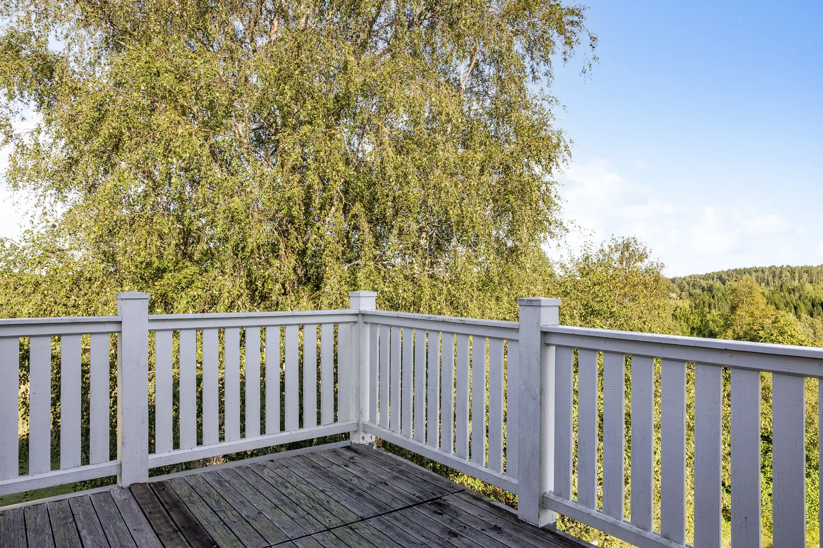 Gård/Skog, Öje 440, Stigsjö/Brunne, Härnösand