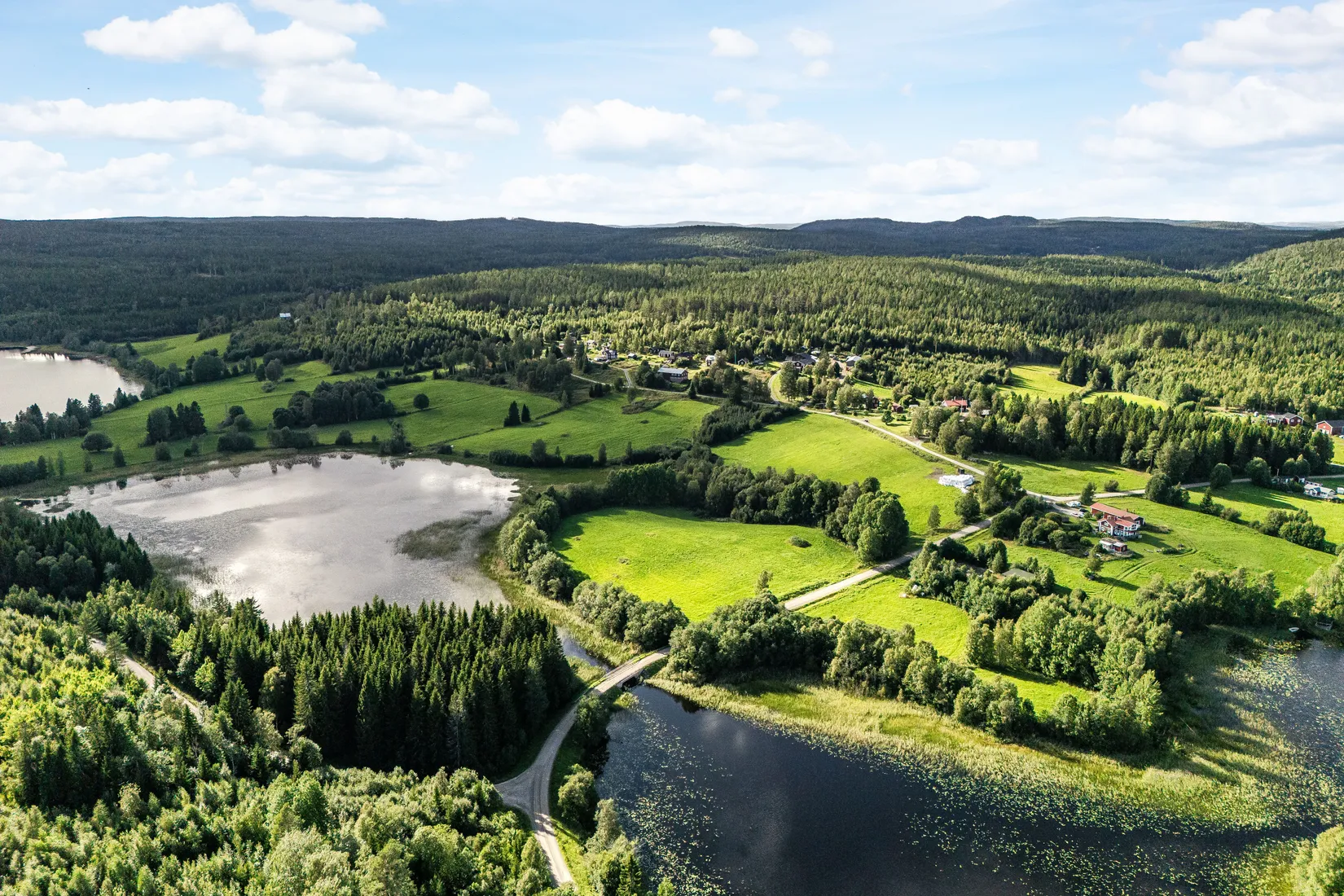 Gård/Skog, Öje 440, Stigsjö/Brunne, Härnösand