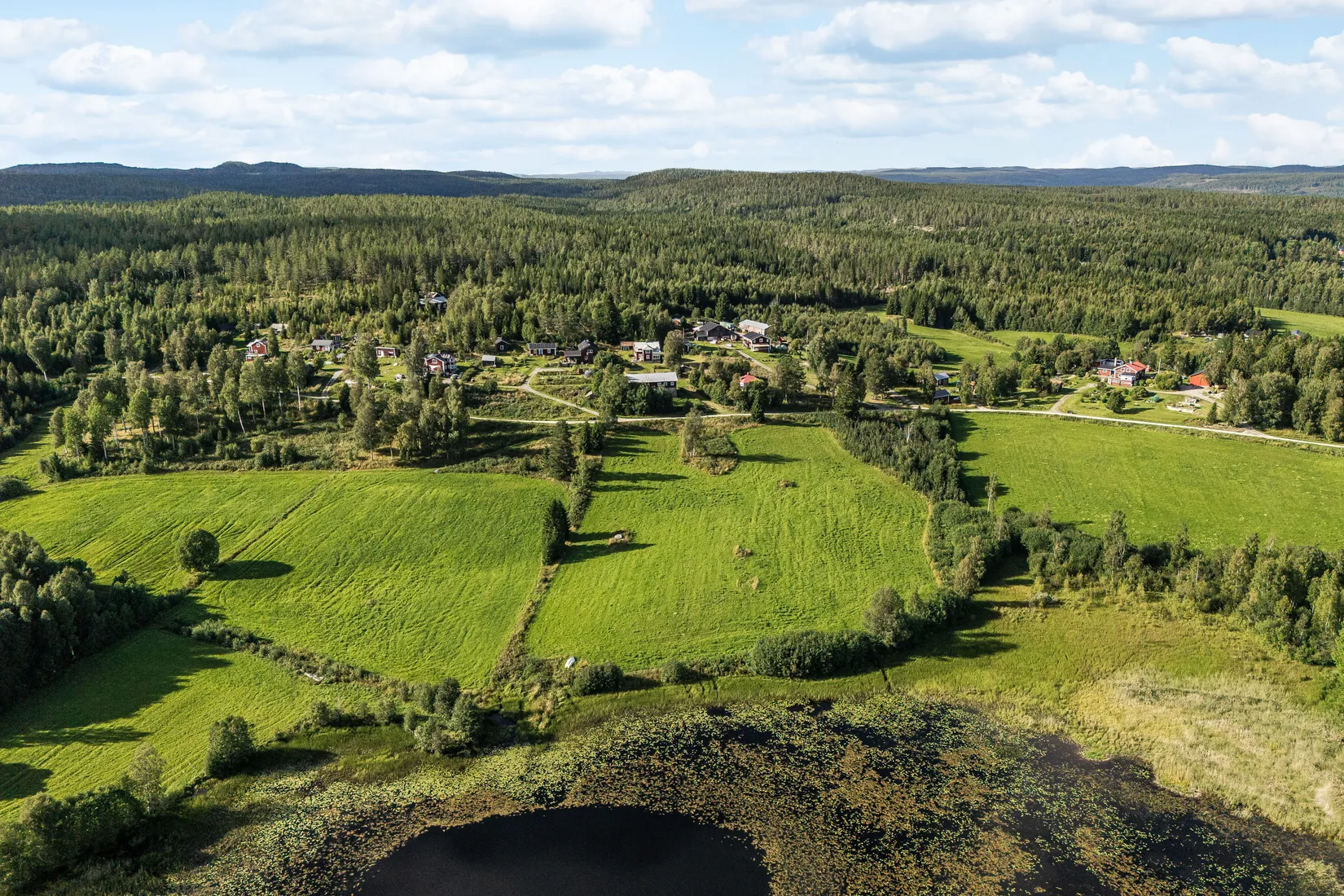Gård/Skog, Öje 440, Stigsjö/Brunne, Härnösand