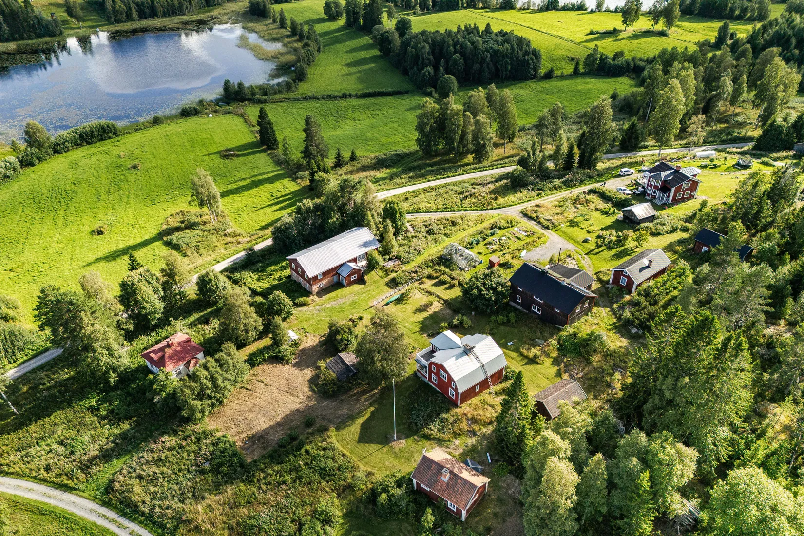 Gård/Skog, Öje 440, Stigsjö/Brunne, Härnösand