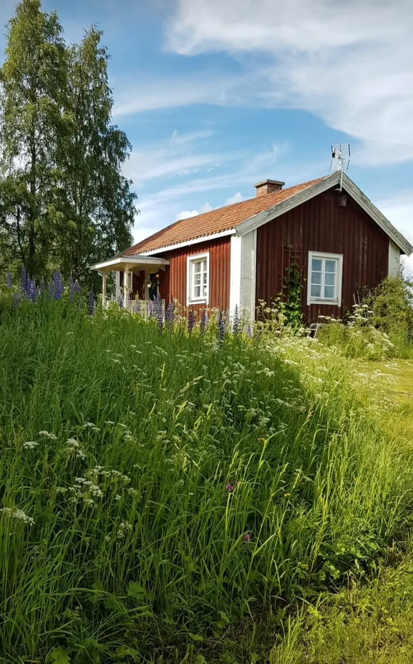 Gård/Skog, Öje 440, Stigsjö/Brunne, Härnösand