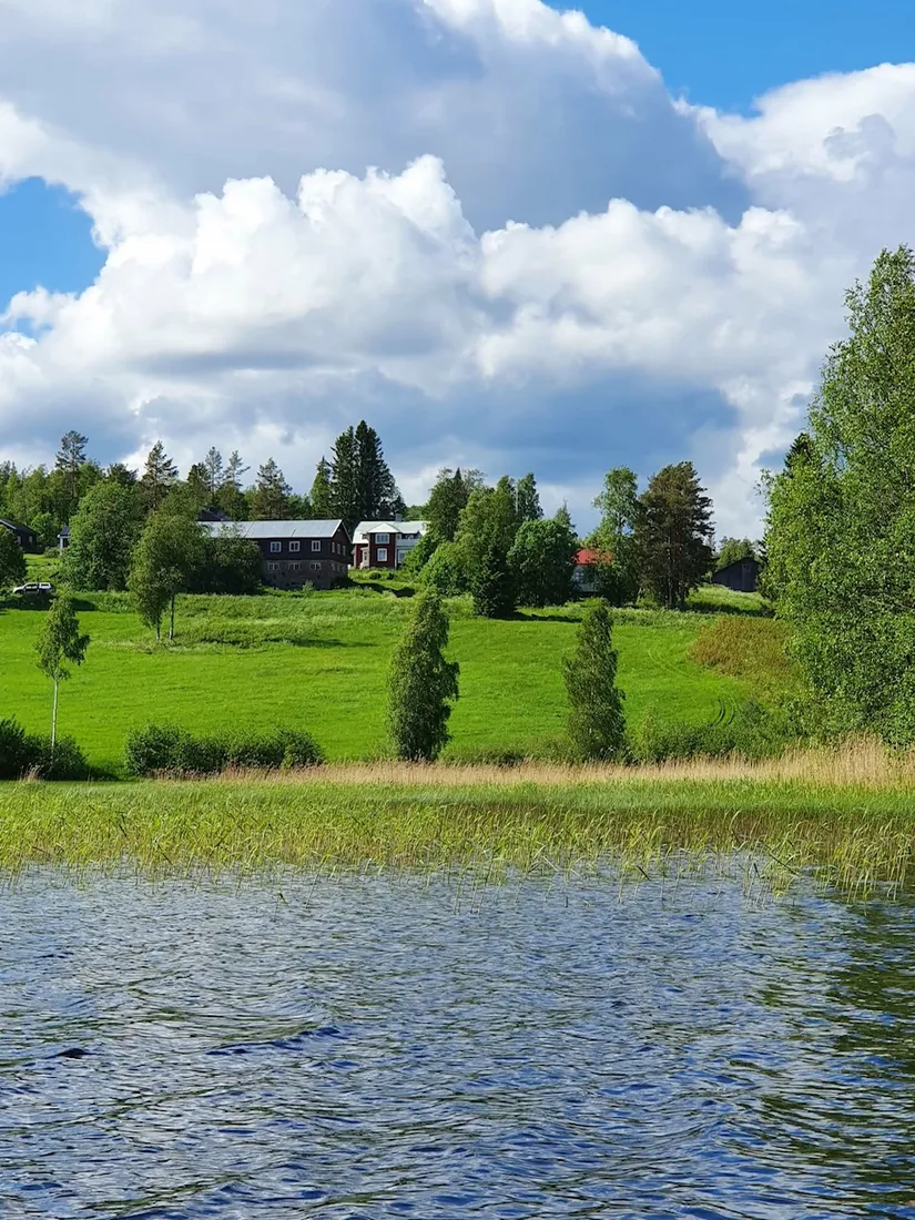 Gård/Skog, Öje 440, Stigsjö/Brunne, Härnösand