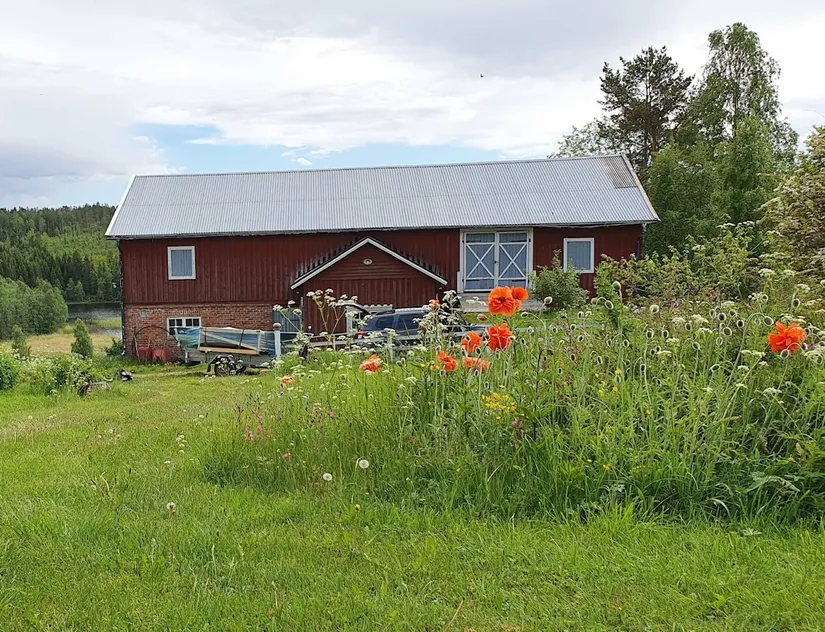 Gård/Skog, Öje 440, Stigsjö/Brunne, Härnösand