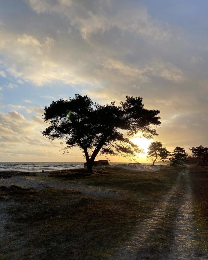 Villa, Domänvägen 1A, Sydkusten, Trelleborg