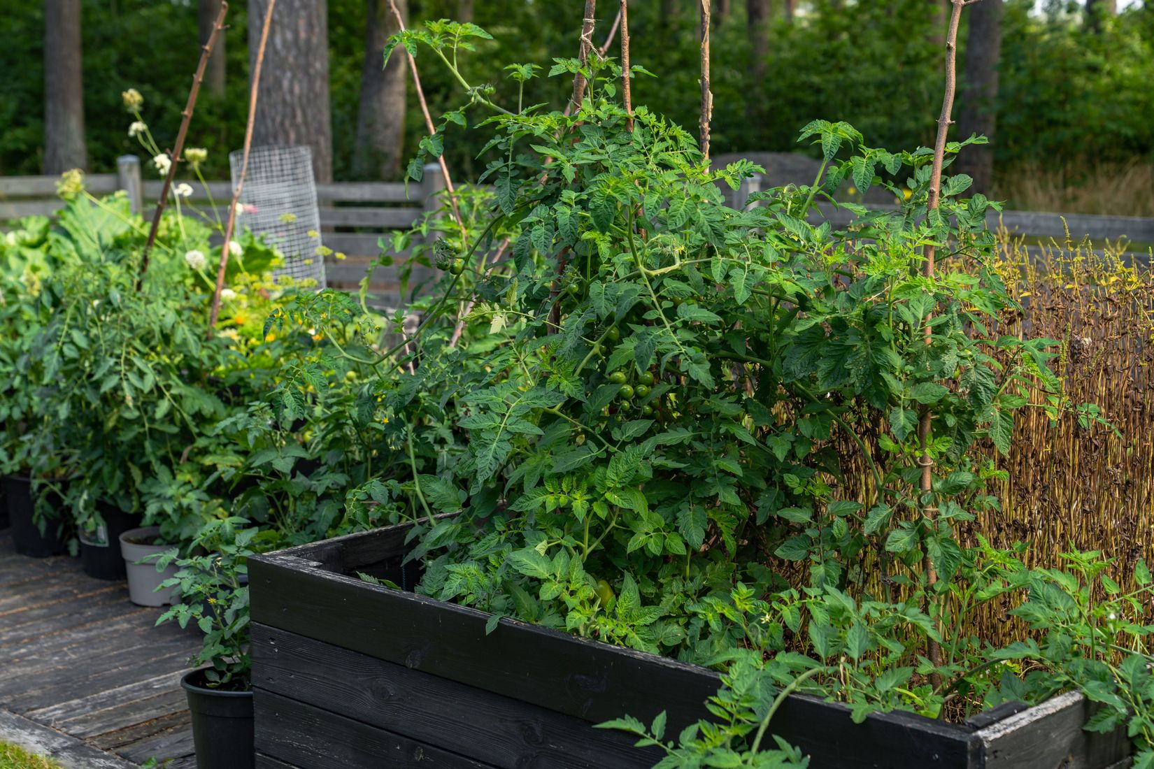 Villa, Polkastigen 8, Munkebäck, Landskrona