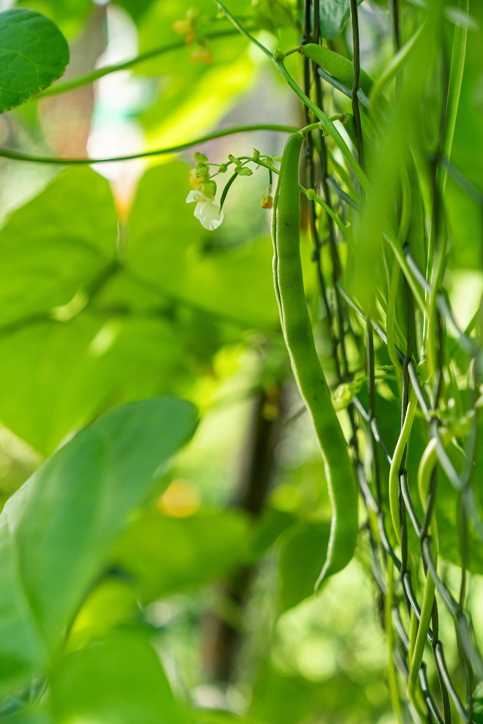 Villa, Bråtåkersvägen 40, Bråten, Karlskoga