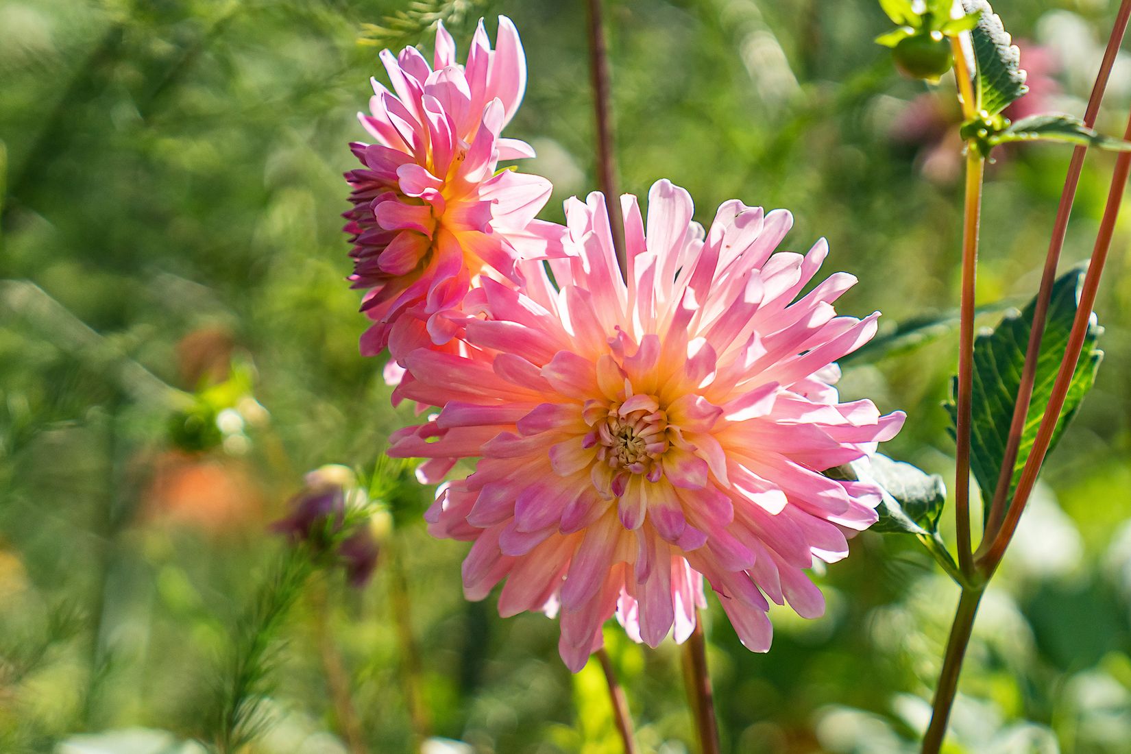 Villa, Bråtåkersvägen 40, Bråten, Karlskoga