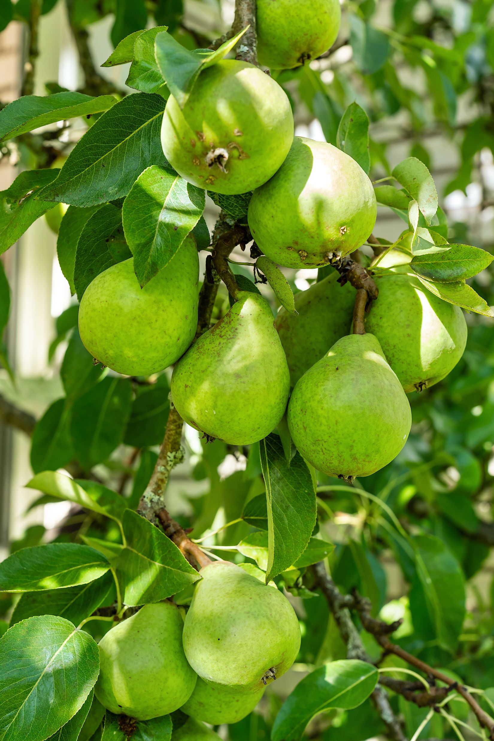 Villa, Bråtåkersvägen 40, Bråten, Karlskoga
